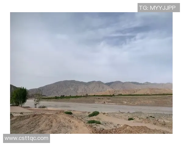 深圳排球队与北京排球队赛后复盘分析团队配合与战术执行的关键因素